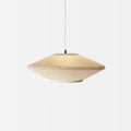 Nimbus Pendant Light 01